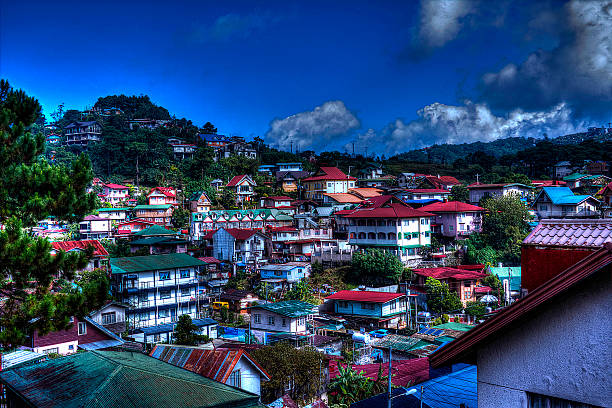istock City of pines 518227231