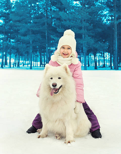 istock Happy smiling child with white Samoyed dog on snow winter 518228800