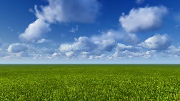 istock Green grass and blue sky daytime 518228884