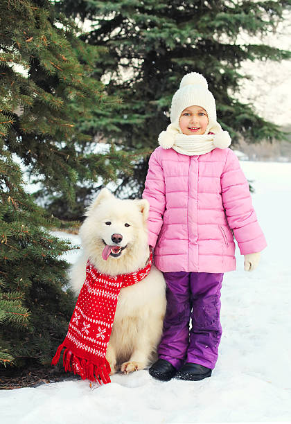 istock Child with white Samoyed dog near christmas tree winter 518229012