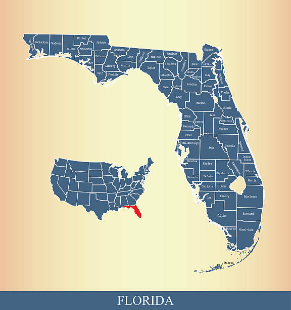 Florida county map outline vector illustration Florida county map outline vector illustration collier county stock illustrations