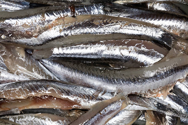 istock Anchovies, close up 518230676