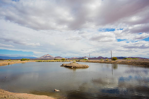 istock Henderson Bird Viewing Preserve 518233266