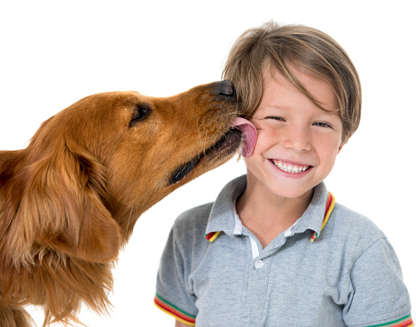 Portrait of a cute dog kissing a happy boy smiling