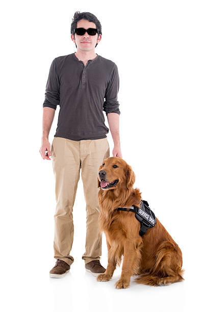 niewidomy z psem służbowym - blind trust zdjęcia i obrazy z banku zdjęć