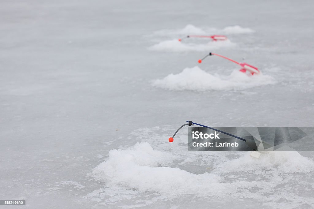 many of ice fishinng rods on the pond winter fishing symbol. the rods over the ice holes Adult Stock Photo