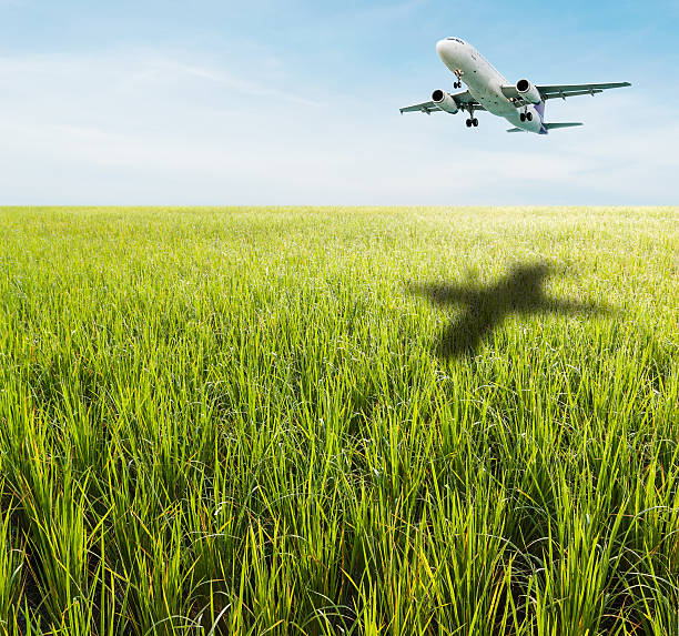 istock Green grass field with bright blue sky 518249666