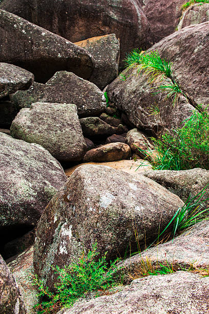 istock Underground creek in Girraween National Park 518252278