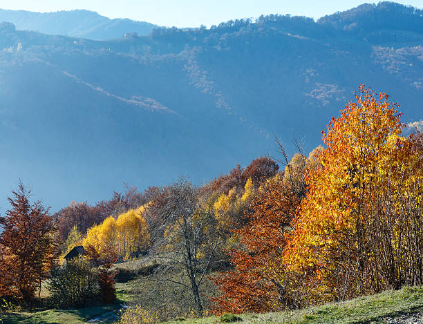 istock Golden autumn in mountain. 518253002