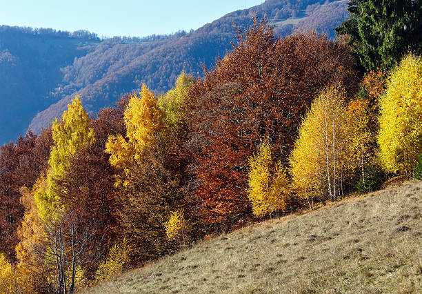 istock Golden autumn in mountain. 518253500