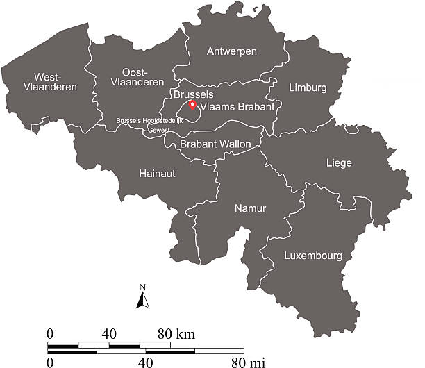 illustrazioni stock, clip art, cartoni animati e icone di tendenza di profilo vettoriale mappa belgio con scale e stati o province - namur province