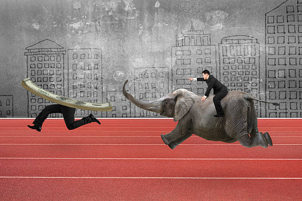 istock Man with pointing finger riding elephant running after money 518256944
