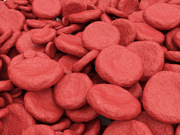 istock Red Blood Cells Flowing Through Vein 518257667