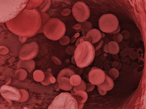 istock Red Blood Cells Flowing Through Vein 518257669