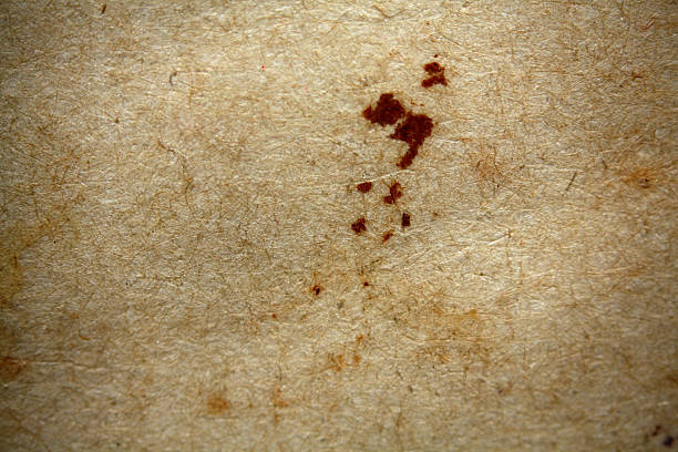 istock texture of old crumpled paper 518257967