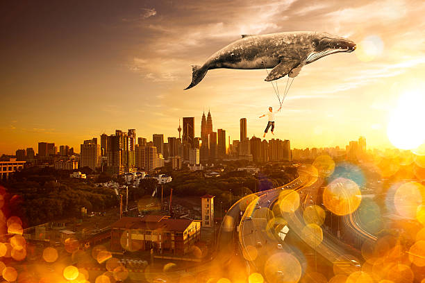 istock Take me to the dream 518258728
