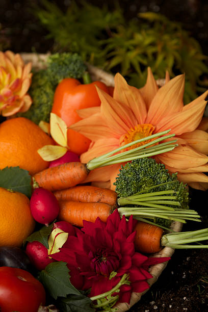 Harvest with fruits and vegetables