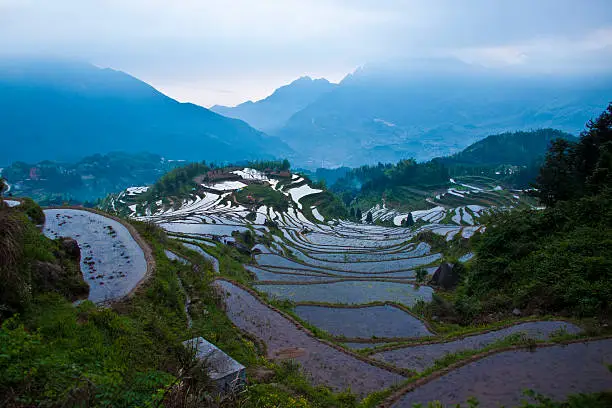 Beautiful water rice terraces in Lishui, Zhejiang province, China