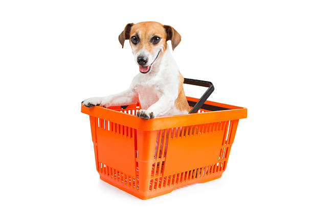 Cute dog Shopping