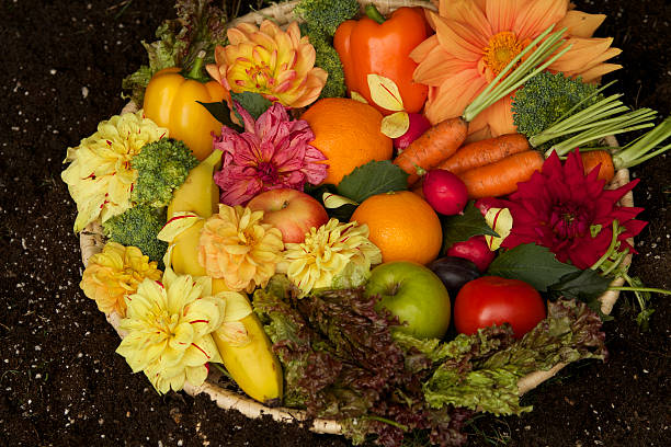 istock Fruits and Vegetables with Flowers 518264149