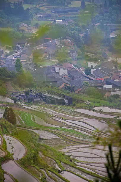 Beautiful water rice terraces with traditional Chinese dwellings and houses, in Lishui, Zhejiang province, China