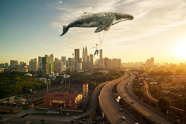 istock Take me to the dream 518271190
