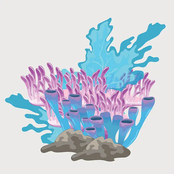 Vector illustration of Bouquet of blue and pink coral, underwater set