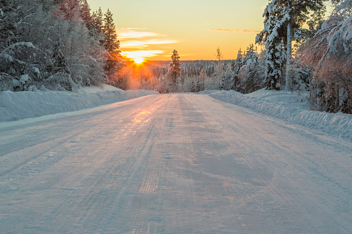 Winter road through a forest in direct light at sunset, with plenty of snow on the trees, Gällivare, Swedish Lapland, Sweden