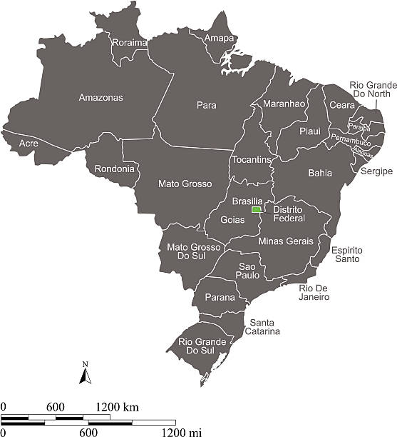 ブラジルの地図ベクトルのアウトラインと縮尺と州または州 - brazil map rio de janeiro sao paulo点のイラスト素材／クリップアート素材／マンガ素材／アイコン素材