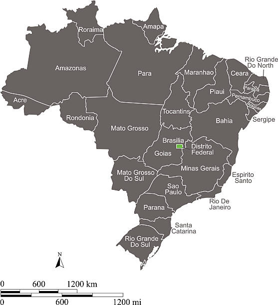 brazylia map zarys wektora z skale i stany lub prowincje - amazonas state stock illustrations
