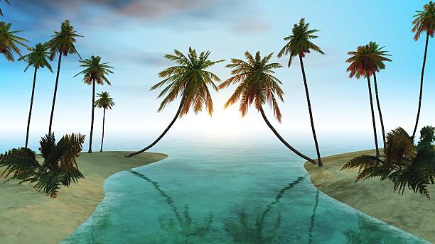 istock palms on the ocean beach, tropical beach 3D rendering. 518280126