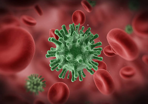 istock Red Blood Cells and Viruses Flowing Through Vein 518280649