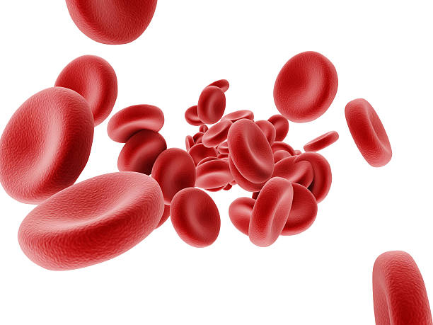 Red Blood Cells Flowing on white background stock photo