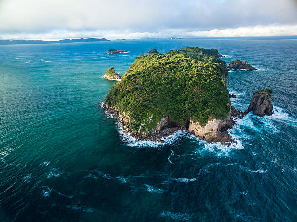 istock Mahurangi Island 518281950