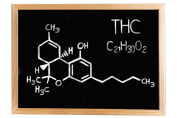 istock Blackboard with the chemical formula of THC 518282938