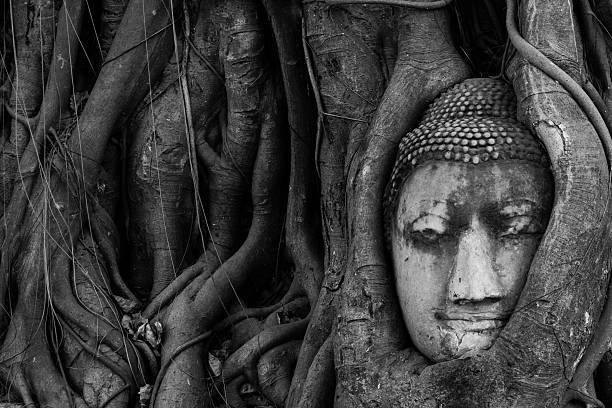 istock Buddha Head in Tree Roots, Wat Mahathat, Ayutthaya, Thailand 518284272