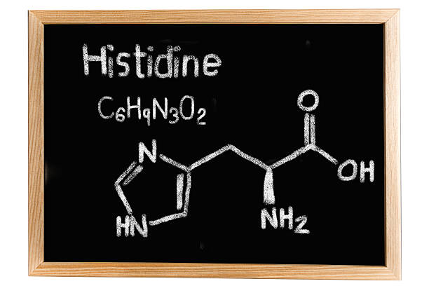 istock Blackboard with the chemical formula of Histidine 518284850