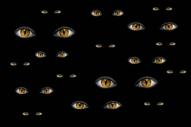 Many strange yellow eyes shining in the black