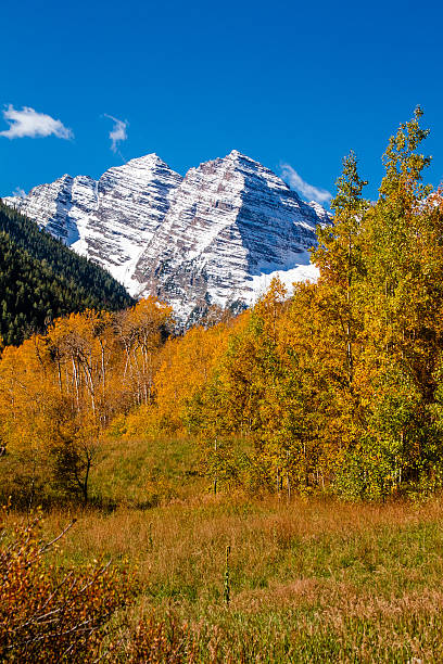 istock Fall Color in Aspen Colorado 518292647
