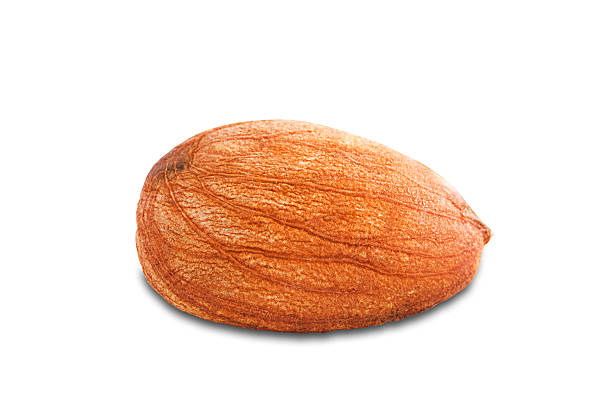 istock One almond isolated on white background 518294595