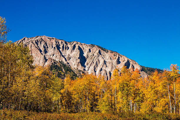 istock Fall Color in Crested Butte Colorado 518294931