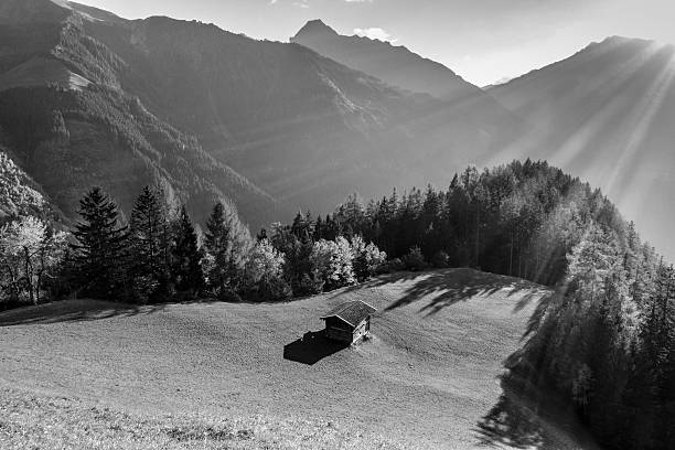 Mountain hut on the autumn forest clearing in black and white