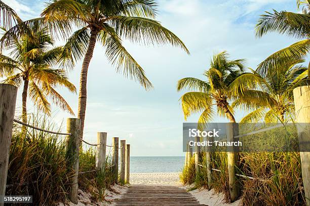 Kokospalme Stockfoto und mehr Bilder von Baum - Baum, Blatt - Pflanzenbestandteile, Blau