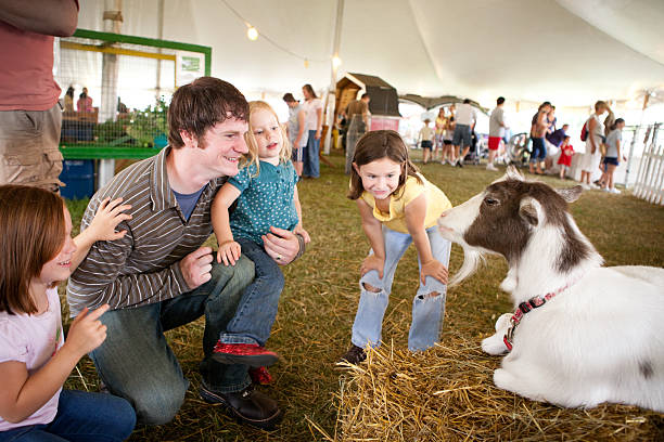 カラー画像の家族のヤギのカウンティーフェアの眺め - agricultural fair ストックフォトと画像