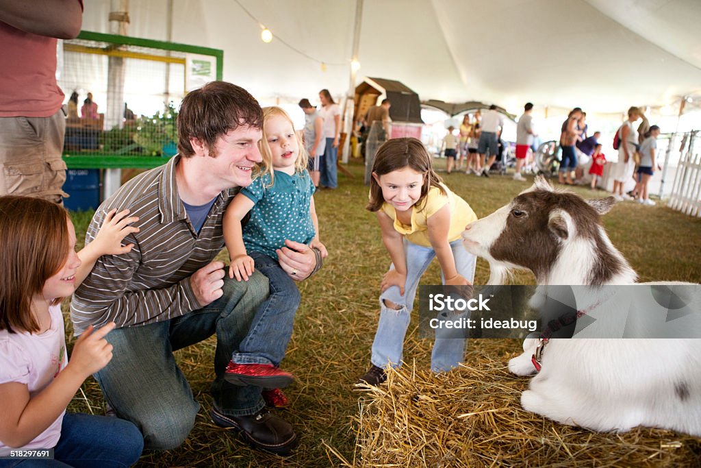 Color Image of Family Watching Goat at County Fair Color image of a happy family taking a close up look at a goat on exhibition at an agricultural fair. Agricultural Fair Stock Photo
