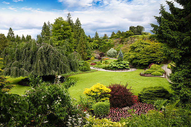 Queen Elizabeth Park in Vancouver, Canada Queen Elizabeth Park in Vancouver. At 152 metres above sea level, the public park is the highest point in Vancouver with spectacular views of the city and mountains on the North Shore. elizabeth i of england photos stock pictures, royalty-free photos & images