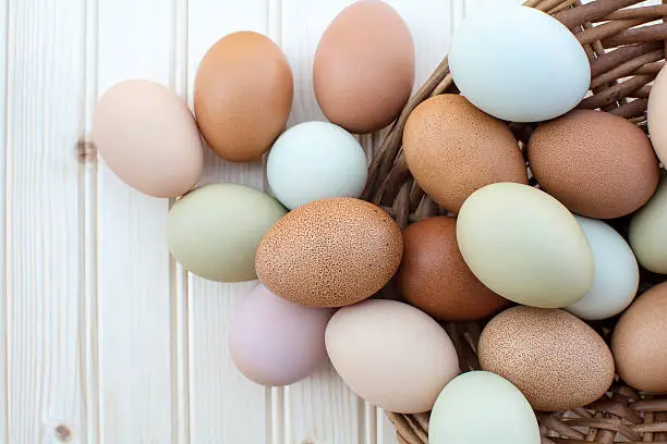 Colorful fresh organic chicken eggs overflow out of basket on wooden background, Colorful natural chicken eggs, Selected focus organic chicken eggs overflow out of the basket