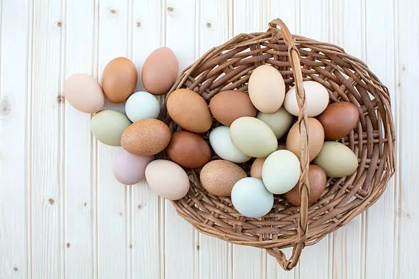 Colorful fresh organic chicken eggs overflow out of old dusty basket on wooden background, Colorful natural chicken eggs, Top view organic chicken eggs overflow out of the basket