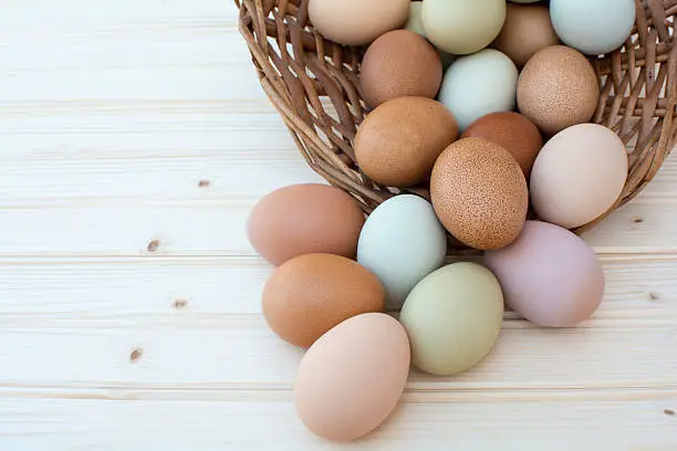 Colorful fresh organic chicken eggs overflow out of old dusty basket on wooden background, Colorful natural chicken eggs, Selected focus organic chicken eggs overflow out of the basket