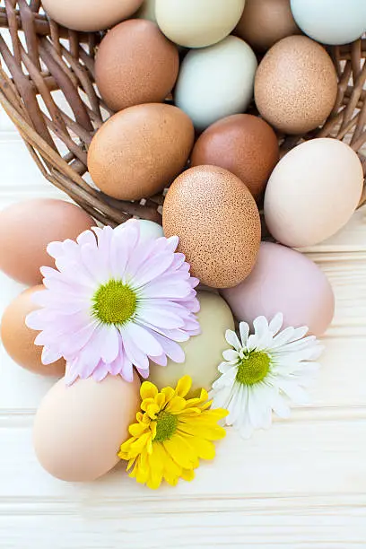 Colorful fresh organic chicken eggs overflow out of basket with chrysanthemum flower on wooden background, Colorful chrysanthemum flower on natural chicken eggs, Selected focus organic chicken eggs overflow out of the basket